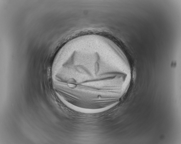 X0000111621492200908141305