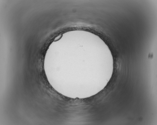 X0000111621493200908141305