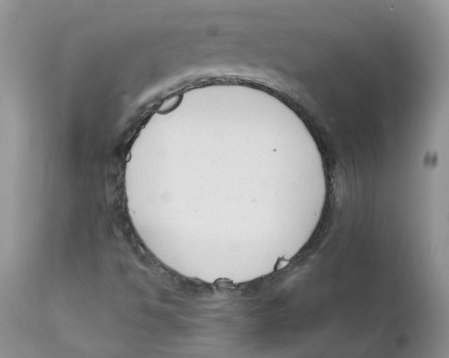 X0000111621494200908141305