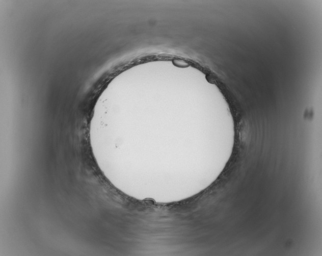 X0000111621495200908141305