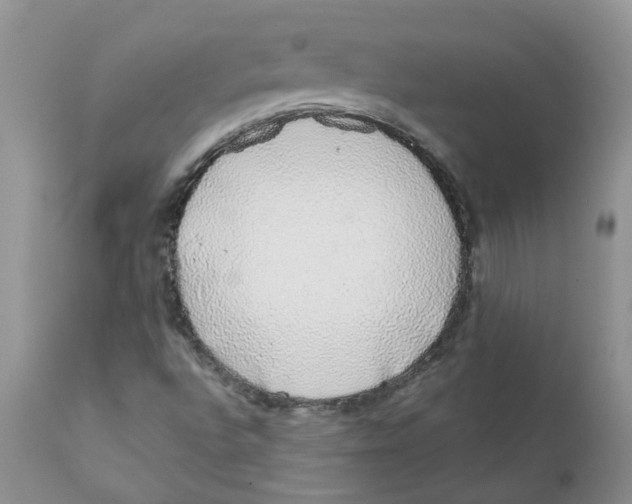 X0000111621496200908141305