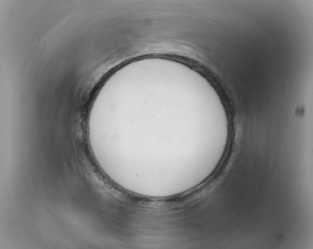 X0000111621497200908141305