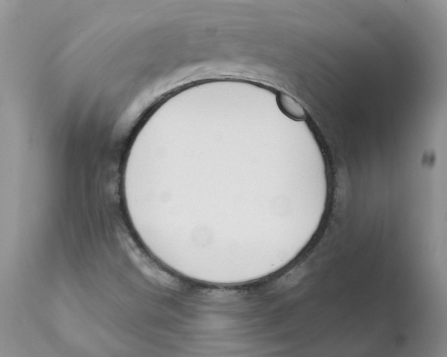 X0000111621499200908141305