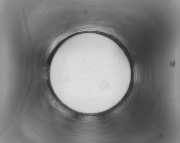 X0000111621501200908141305