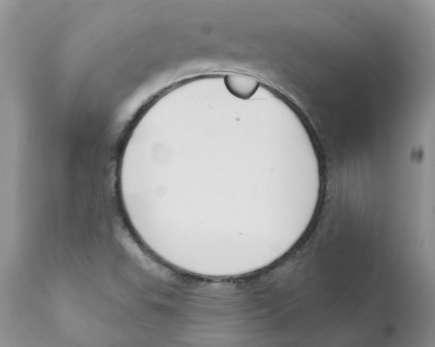 X0000111621503200908141305