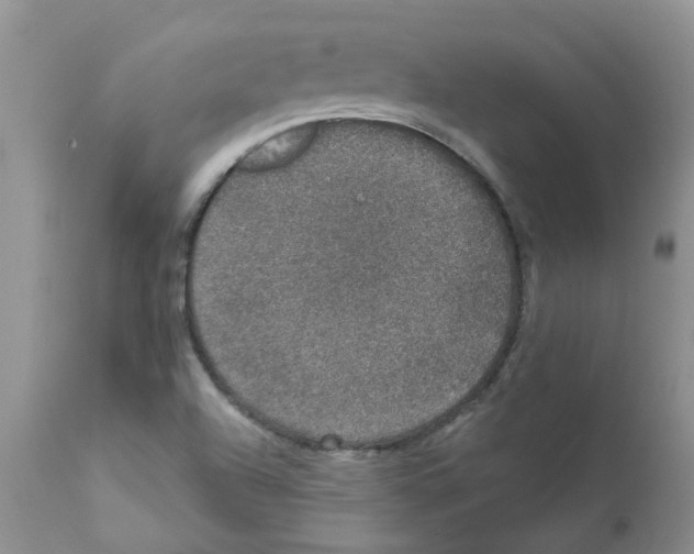 X0000111621504200908141305