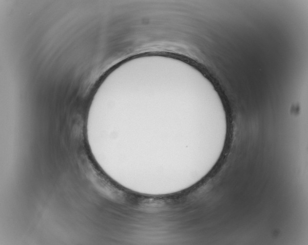 X0000111621505200908141305