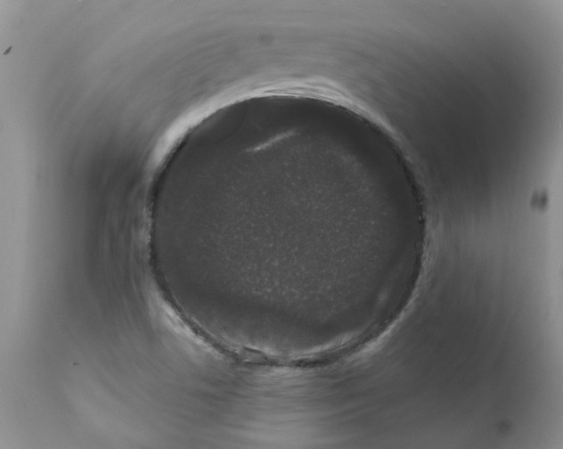 X0000111621506200908141305