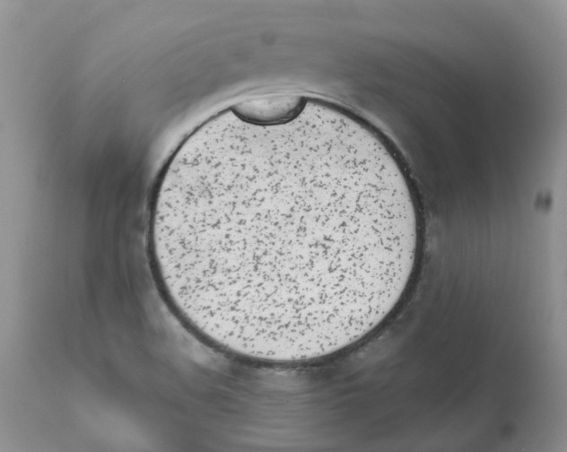 X0000111621508200908141305