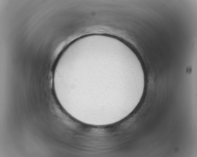 X0000111621509200908141305