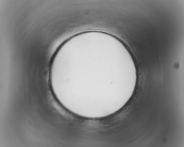 X0000111621511200908141305