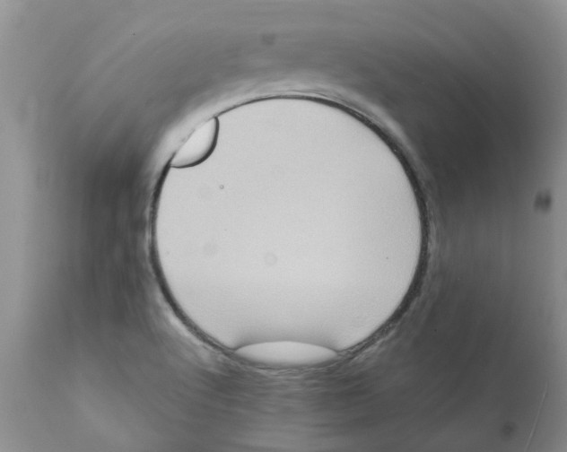 X0000111621512200908141305