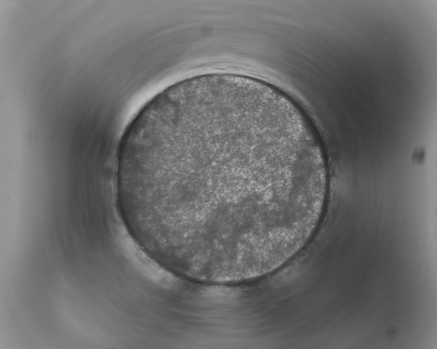 X0000111621514200908141305