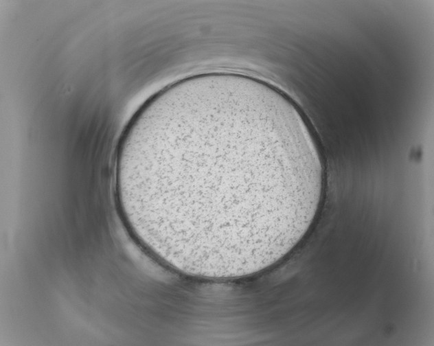 X0000111621515200908141305