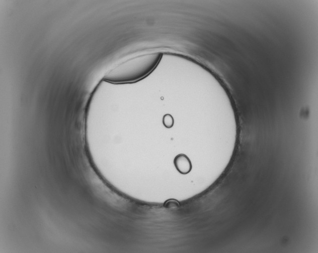 X0000111621516200908141305