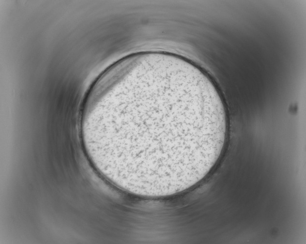 X0000111621517200908141305