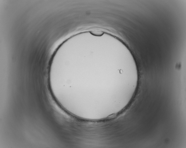 X0000111621518200908141305