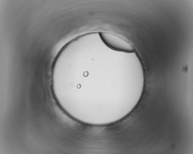 X0000111621519200908141306