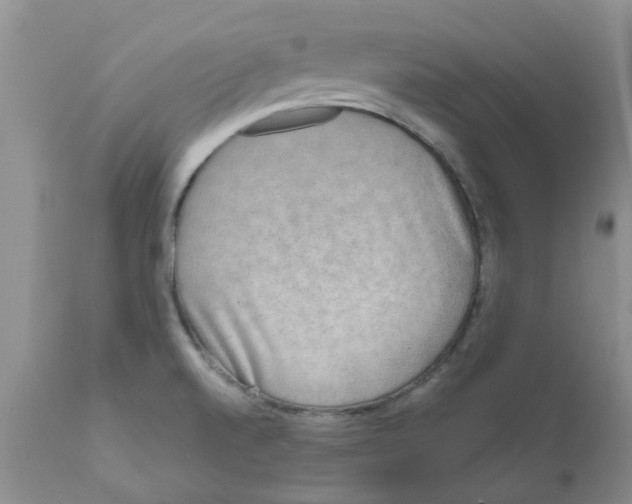 X0000111621520200908141306