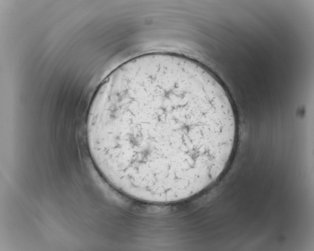 X0000111621521200908141306