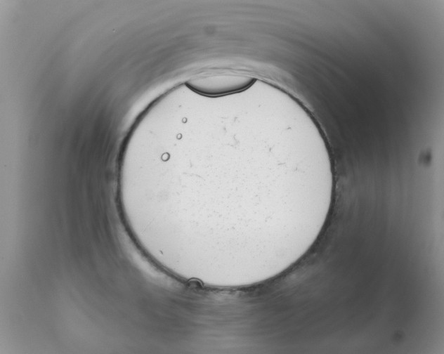 X0000111621523200908141306