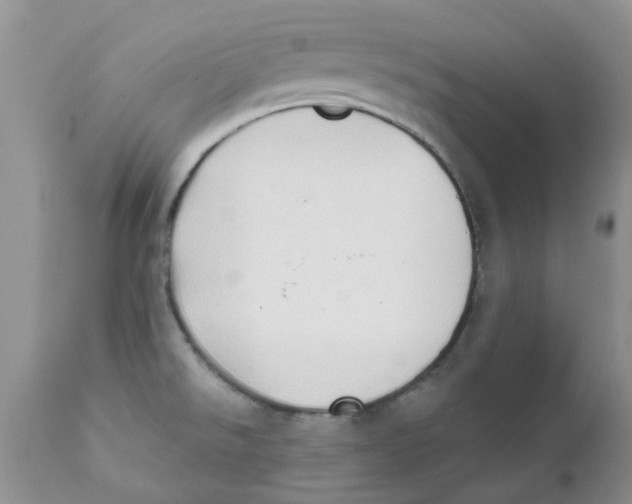 X0000111621526200908141306