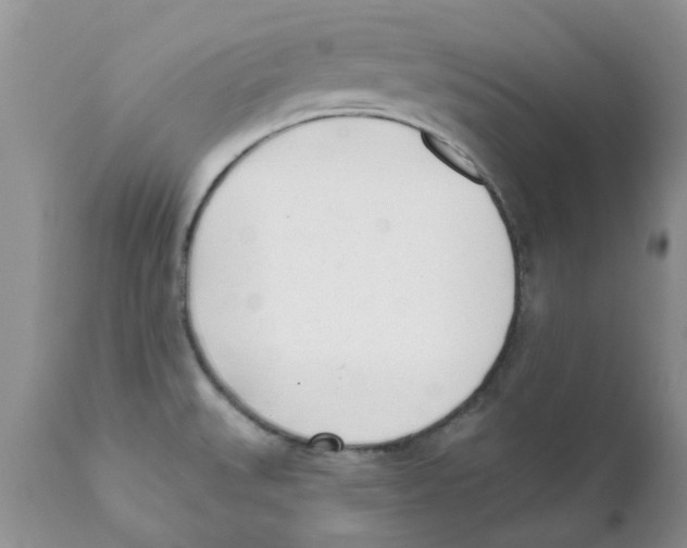 X0000111621527200908141306