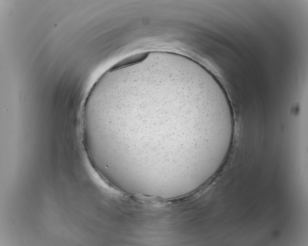 X0000111621528200908141306