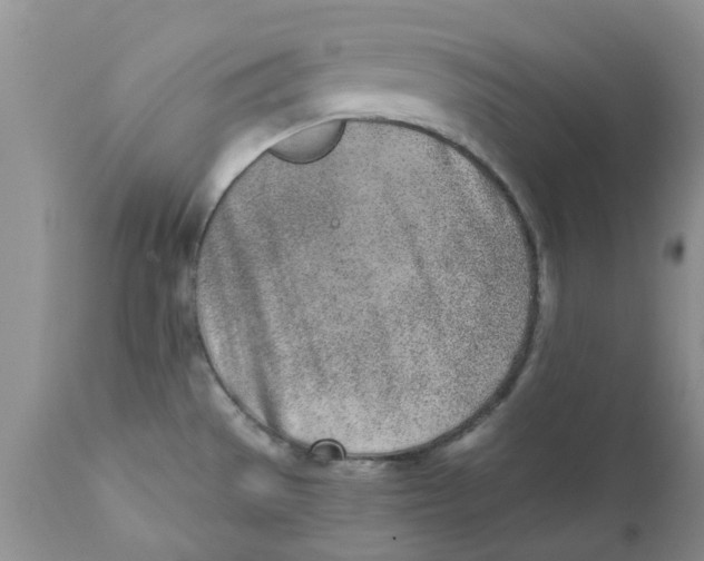 X0000111621529200908141306