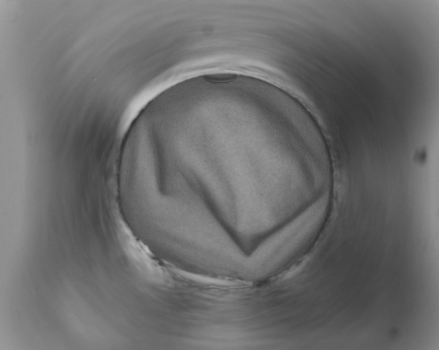 X0000111621530200908141306