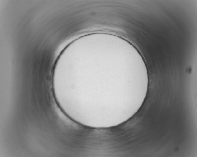 X0000111621531200908141306