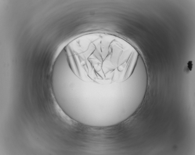 X0000111621532200908141306