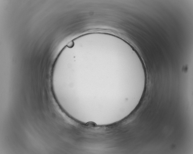 X0000111621533200908141306