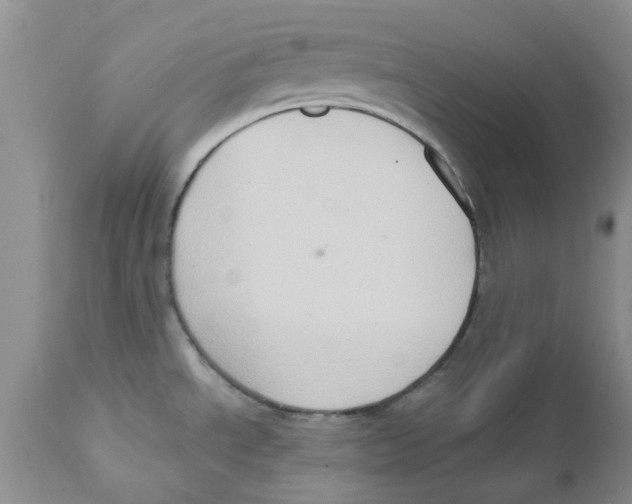 X0000111621534200908141306