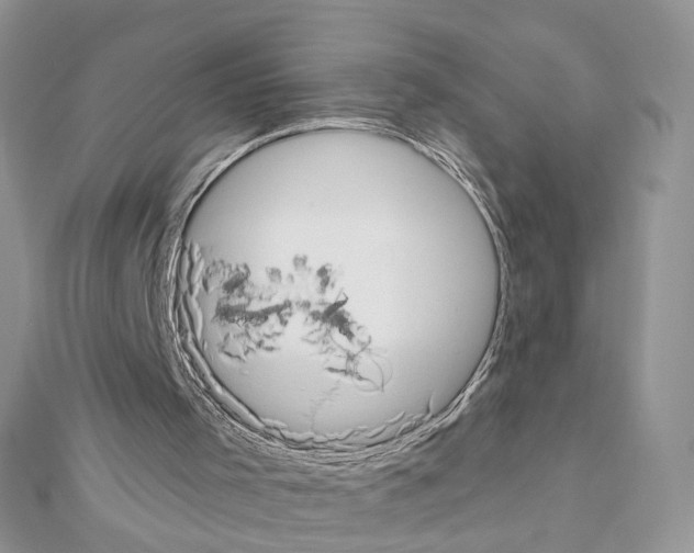 X0000111620001200908281123