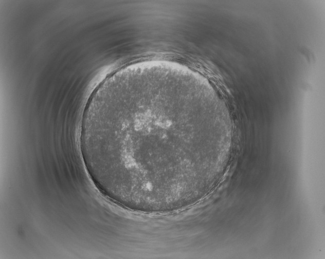 X0000111620003200908281123