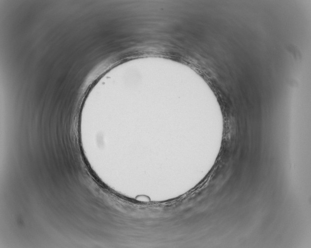 X0000111620004200908281123