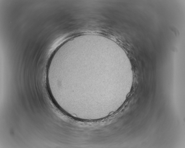 X0000111620005200908281123