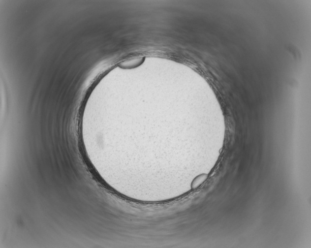 X0000111620006200908281123