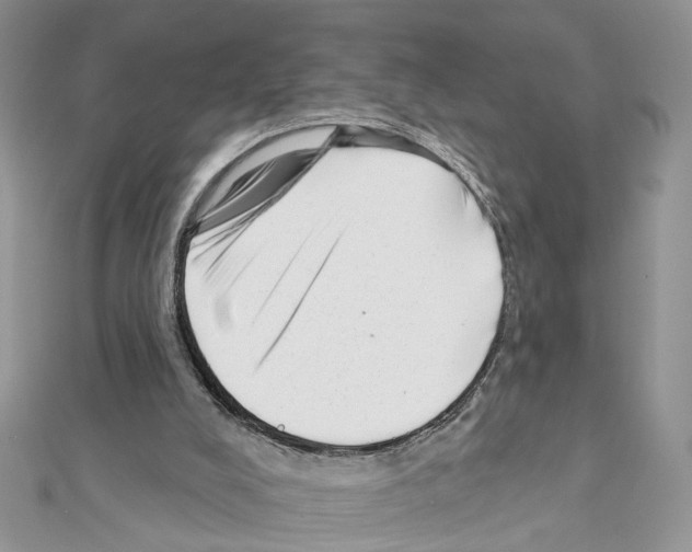 X0000111620008200908281123