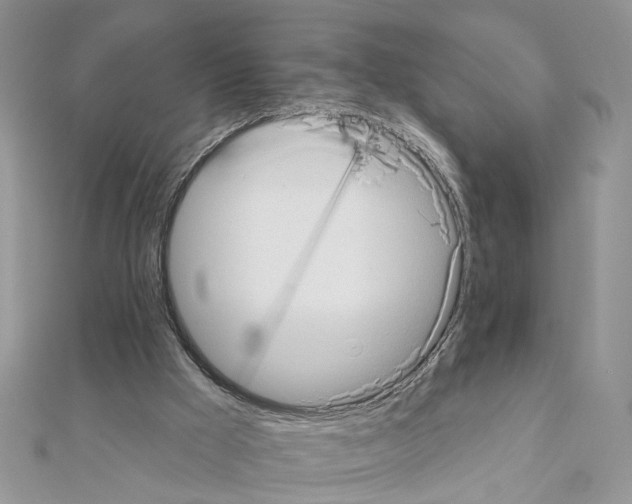 X0000111620009200908281123