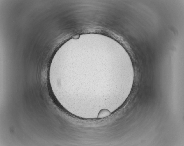 X0000111620010200908281123