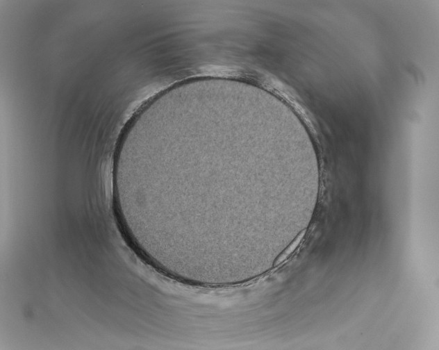 X0000111620011200908281123