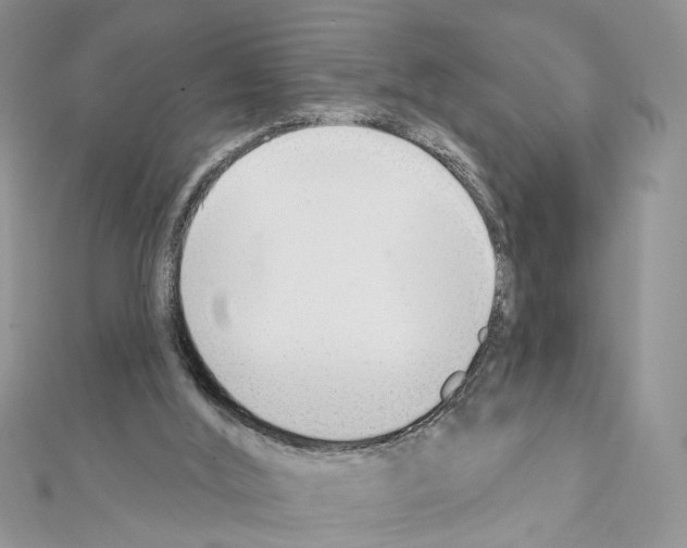 X0000111620012200908281123