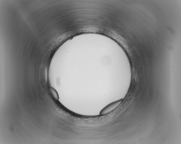 X0000111620013200908281123