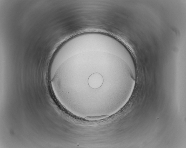 X0000111620015200908281123