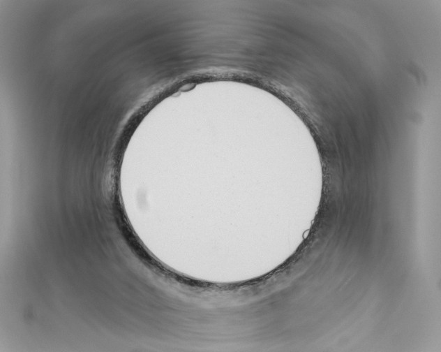 X0000111620016200908281123