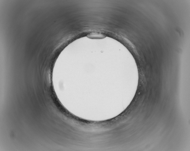 X0000111620020200908281123