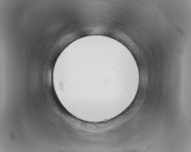 X0000111620022200908281122