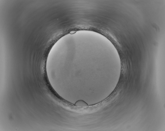 X0000111620023200908281122